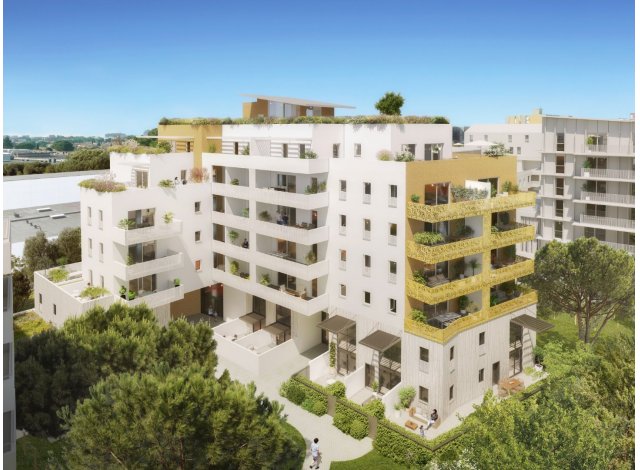 Programme immobilier neuf Montpellier