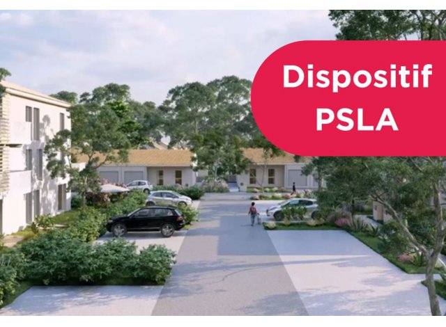 Projet immobilier Luon