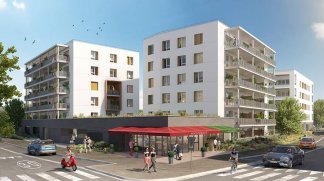Programme neuf Les Cèdres à Angers