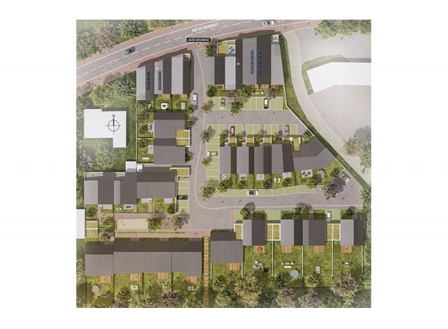 Rivéa immobilier neuf