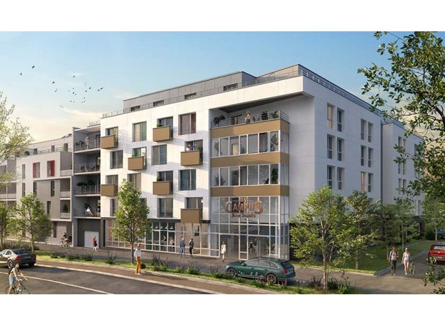 Logement neuf Jou-ls-Tours