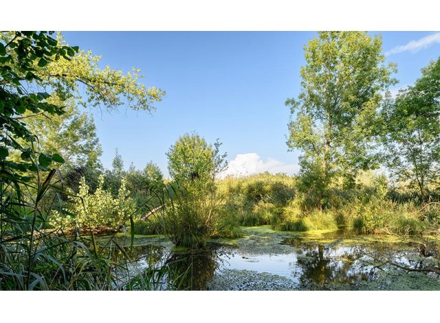 Programme immobilier neuf Le Moulin d'Erno  Ernolsheim-Bruche