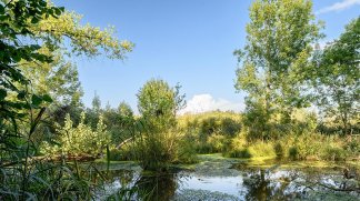 Programme neuf Le Moulin d'Erno à Ernolsheim-Bruche