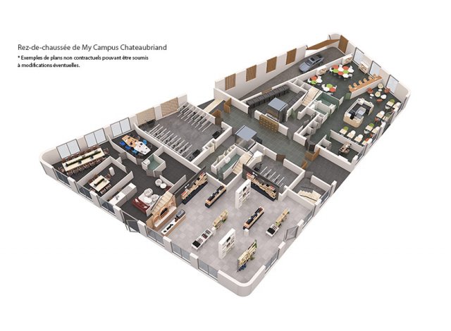 Programme immobilier neuf My Campus Chateaubriand  Rennes