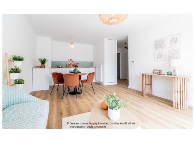 Programme immobilier neuf Les Villas du Parc à Nancy