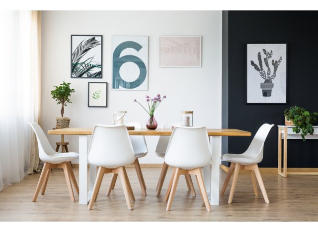 Immobilier neuf Trevoux