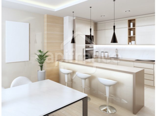 Investissement locatif  Paris 20me : programme immobilier neuf pour investir Paris 12ème C1  Paris 12ème