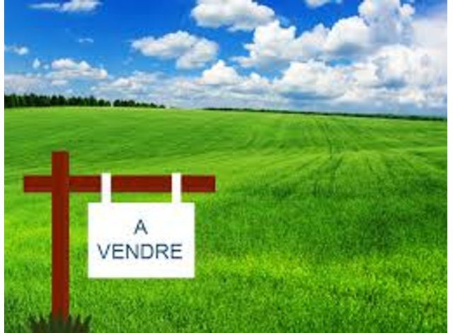 Programme immobilier neuf Petit-Bourg C1 à Petit-Bourg