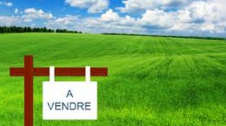 Programme neuf Petit-Bourg C1 à Petit-Bourg