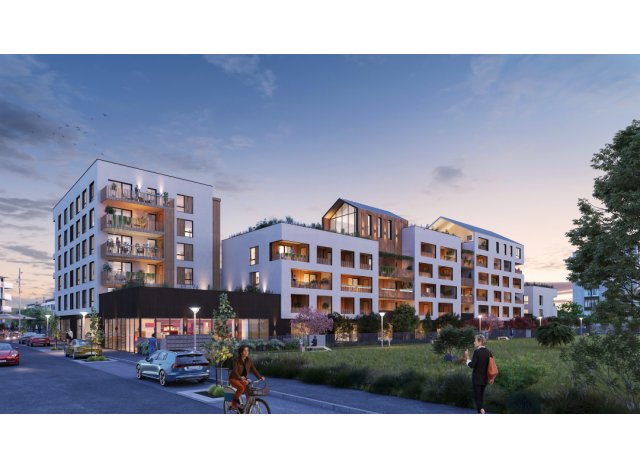Programme neuf Hikari  Haguenau