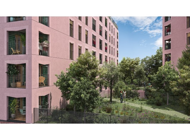 Rue Pierre Chapitre 4 logement neuf