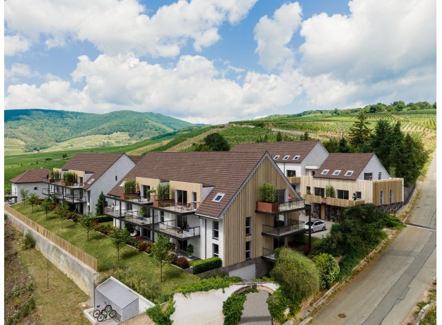 Programme immobilier neuf Les Hauts des Clarisses  Sigolsheim