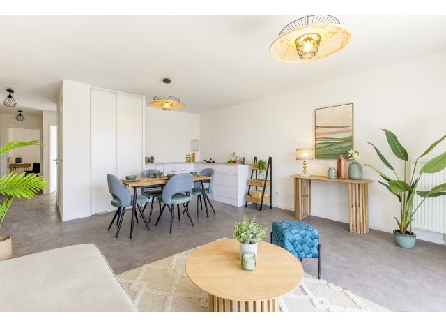 Projet immobilier Mulhouse