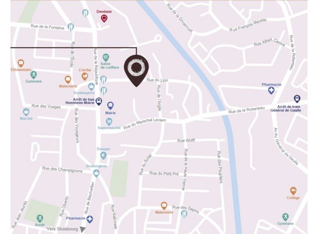 Villa du Lion Hoenheim