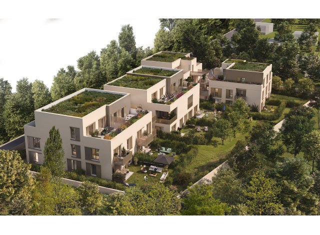 Projet immobilier Saint-Romain-au-Mont-d'Or