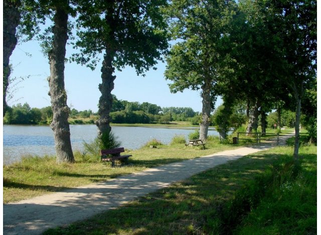 Projet immobilier Bde