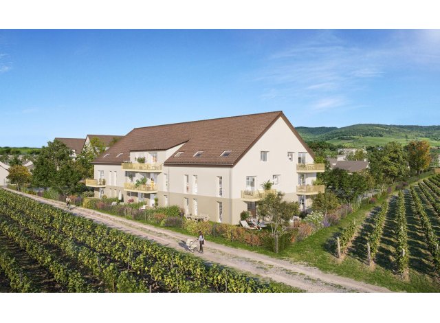 Programme immobilier neuf Wintzenheim