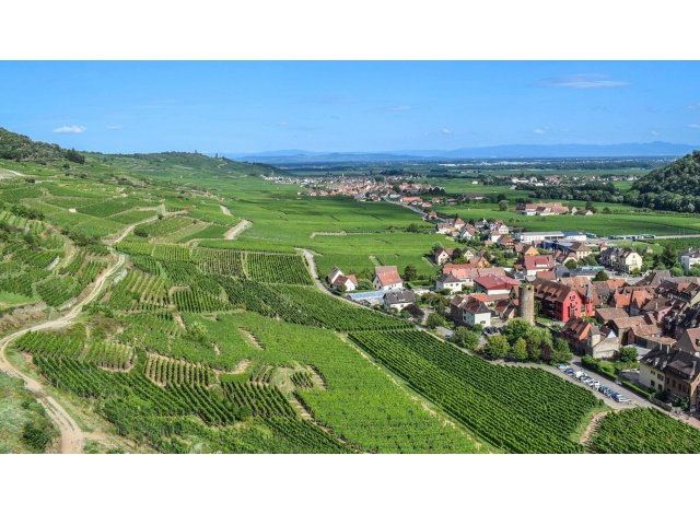 Programme immobilier neuf Wintzenheim CG 1  Wintzenheim