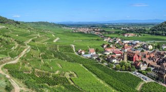 Programme neuf Wintzenheim CG 1 à Wintzenheim