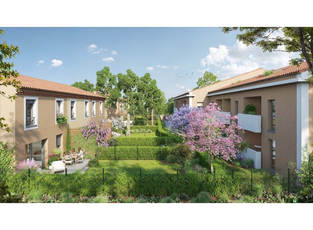 Projet immobilier Plissanne