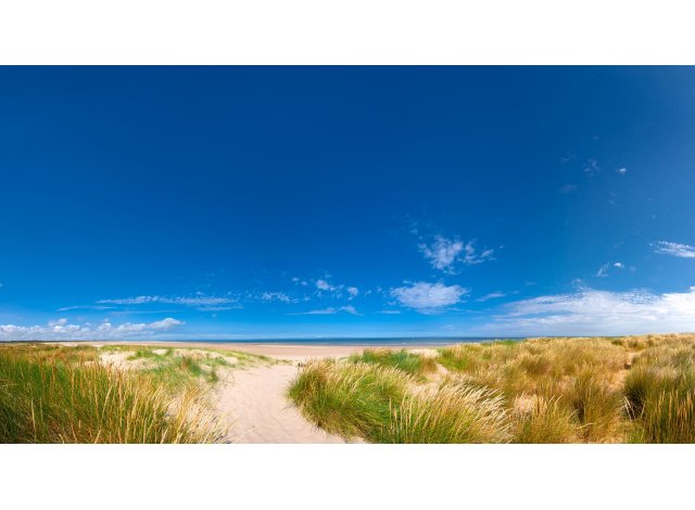 Projet immobilier Marseillan