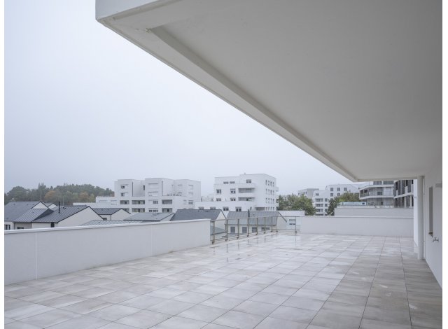 Appartement neuf Cesson-Svign