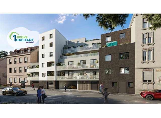 Appartement neuf Bischheim