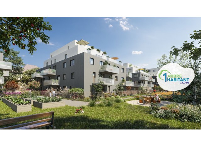 Immobilier neuf Bischheim