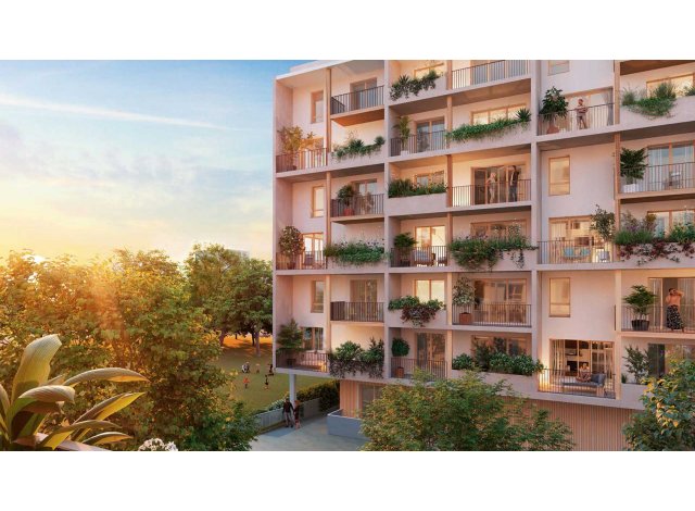 Andamio immobilier neuf