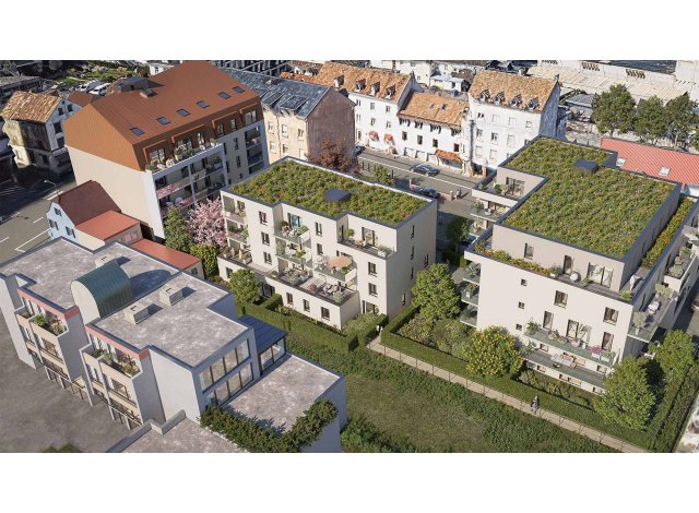 Projet immobilier Saint-Louis