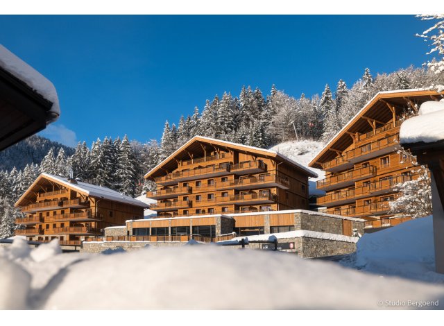 Chalets de Joy immobilier neuf