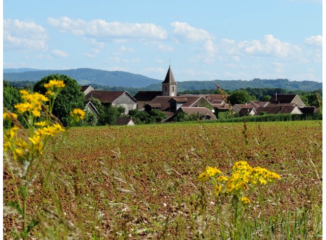 Appartement neuf Pouilley-Franais