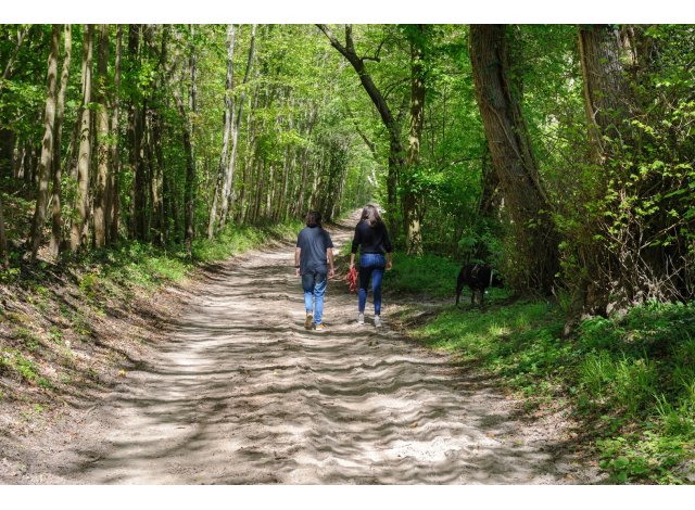 Projet immobilier Lamorlaye