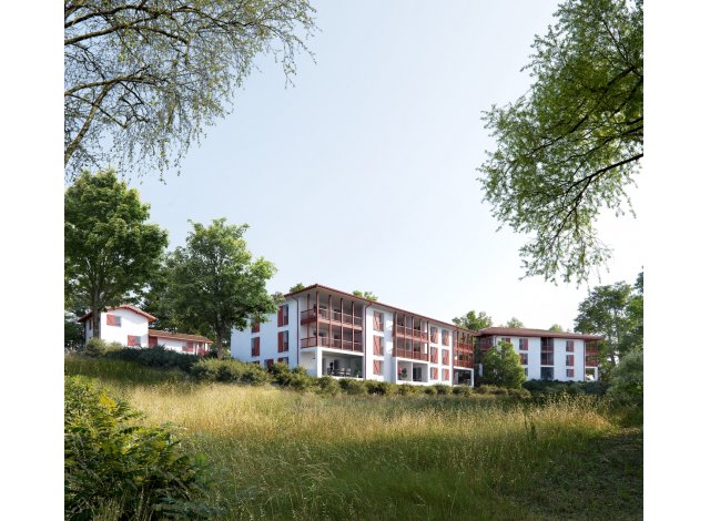 Programme immobilier avec maison ou villa neuve Goiz Argian  Arbonne