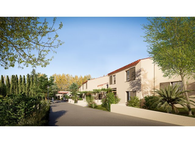 Projet immobilier Saint-Rmy-de-Provence