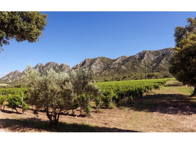 Logement neuf Saint-Rmy-de-Provence