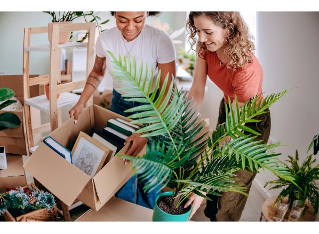 Programme neuf Les Lisieres de la Loubere à Montussan