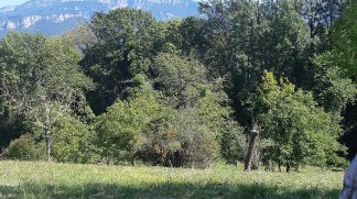 Terrain constructible &agrave; Moirans