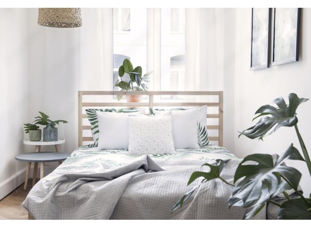 Appartement neuf Saint-Louis