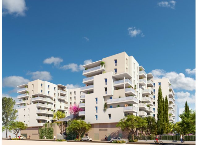 Programme immobilier Ste