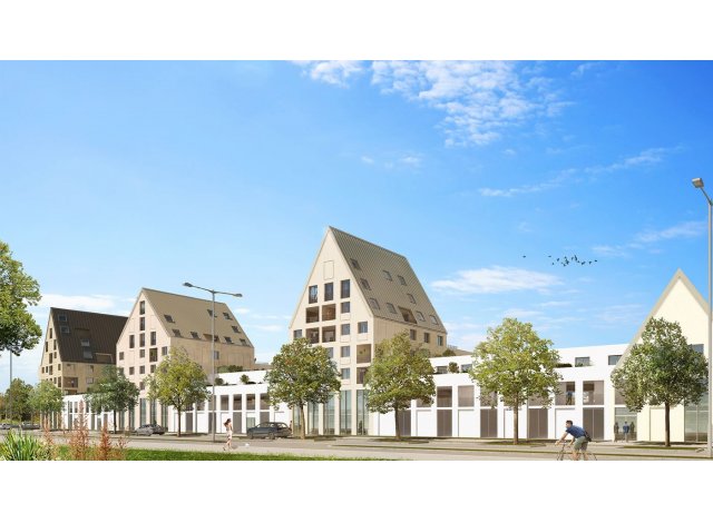 Dijon M6 Dijon