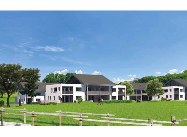 Projet immobilier Sales