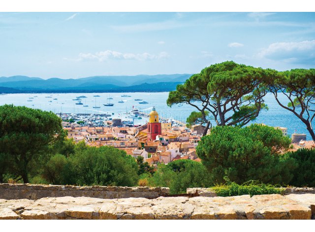 Terra Mare