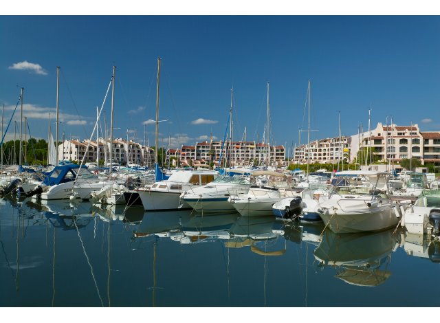 Programme immobilier Cogolin