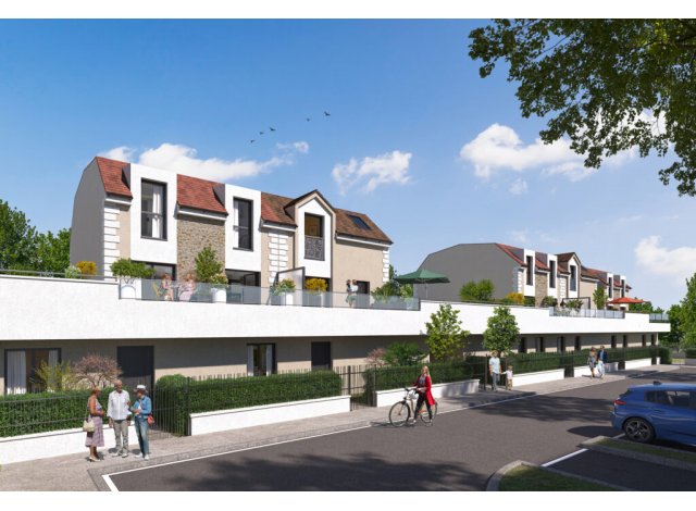 Projet immobilier Saint-Thibault-des-Vignes