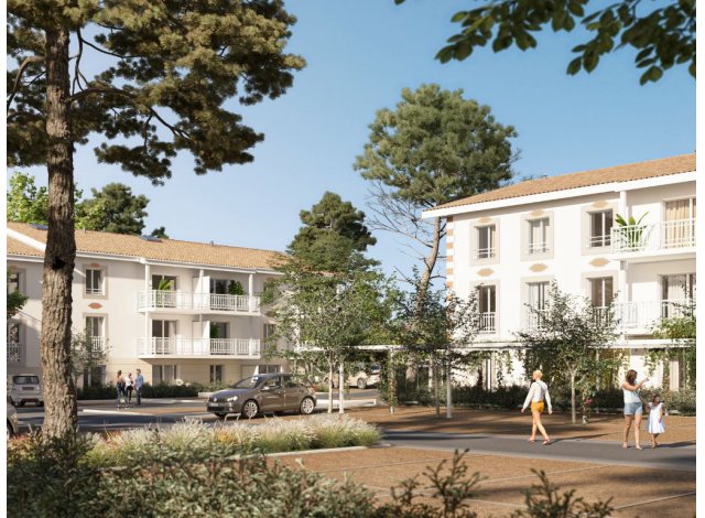 Programme immobilier neuf Le Hameau de la Houna  Belin-Béliet