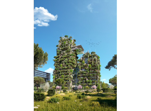 Projet immobilier Montpellier