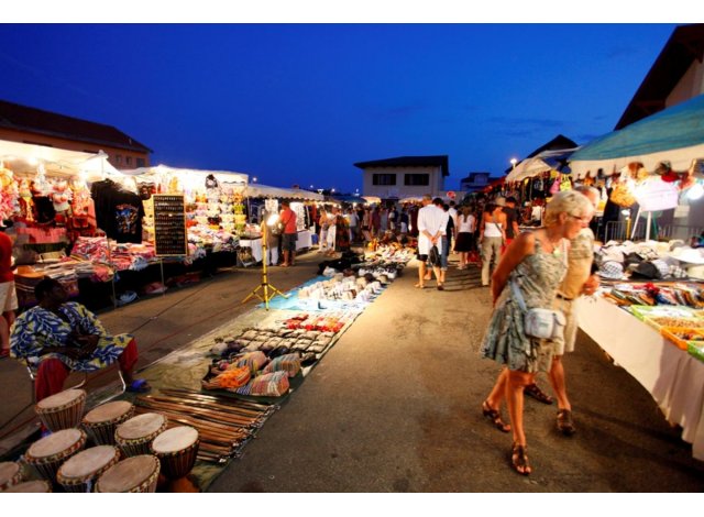 Projet immobilier Aureilhan