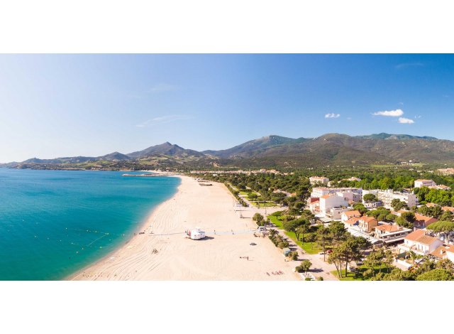Projet immobilier Argels-sur-Mer