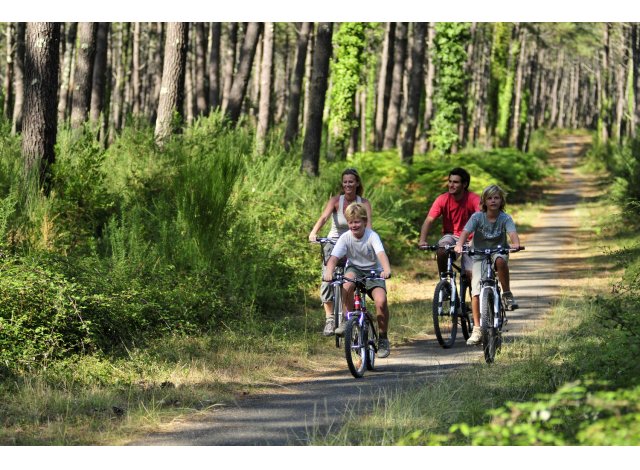 Programme immobilier Aureilhan